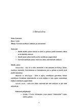 Prakses atskaite 'Prakses dienasgrāmata integrētajā mācībā', 4.