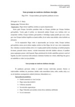 Paraugs 'Seno prasmju un moderno zināšanu sinerģija "Rīga – Eiropas kultūras galvaspilsēt', 1.