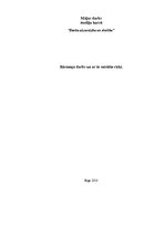 Konspekts 'Bārmeņa darbs un ar to saistītie riski', 1.