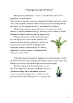 Referāts 'Telpaugu nozīme viesmīlības atmosfēras radīšanā', 3.