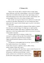 Referāts 'Telpaugu nozīme viesmīlības atmosfēras radīšanā', 4.