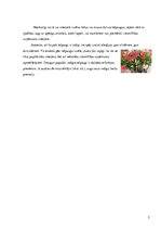 Referāts 'Telpaugu nozīme viesmīlības atmosfēras radīšanā', 6.