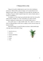 Referāts 'Telpaugu nozīme viesmīlības atmosfēras radīšanā', 7.