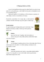 Referāts 'Telpaugu nozīme viesmīlības atmosfēras radīšanā', 8.