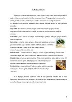 Referāts 'Telpaugu nozīme viesmīlības atmosfēras radīšanā', 9.