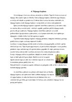 Referāts 'Telpaugu nozīme viesmīlības atmosfēras radīšanā', 10.