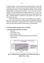 Referāts 'LR pensiju fondi un to pilnveidošanas iespējas', 20.