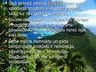 Prezentācija 'Tropu mežs', 5.