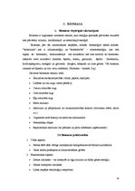 Referāts 'Alternatīvā enerģija', 14.