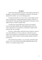 Referāts 'Biznesa ētikas principi Aglonas novada pašvaldībā', 9.