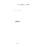 Referāts 'Zīmols', 1.