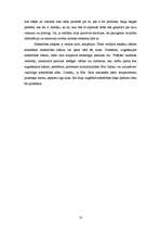 Referāts 'Kultūras ietekmes faktori patērētāju uzvedībā un to ievērošana reklāmas organizē', 10.