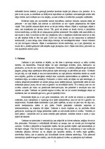 Referāts 'Sāpes, ciešanas, baudas un attieksme pret tām', 5.