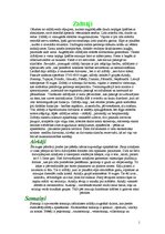 Konspekts 'Zīdītāji', 1.