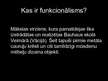 Prezentācija 'Arhitektūras un dizaina mācību iestāde "Bauhaus"', 26.