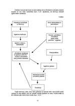 Referāts 'Agresivitāte', 16.