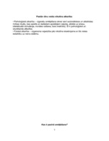 Referāts 'Smēķēšana', 5.