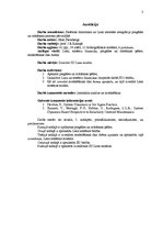 Diplomdarbs 'Sistēmas dinamikas un Lean metodes integrācija piegādes un ražošanas procesa pār', 2.