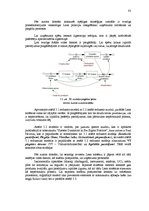 Diplomdarbs 'Sistēmas dinamikas un Lean metodes integrācija piegādes un ražošanas procesa pār', 33.