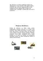 Referāts 'Postījumi Latvijas mežos', 10.