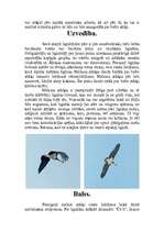 Referāts 'Melnais stārķis', 3.