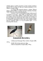 Referāts 'Melnais stārķis', 7.