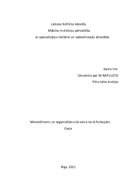 Referāts 'Organizēšana kā viena no funkcijām kultūras menedžmentā', 1.