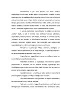 Referāts 'Organizēšana kā viena no funkcijām kultūras menedžmentā', 2.