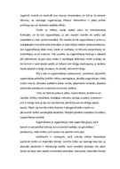 Referāts 'Organizēšana kā viena no funkcijām kultūras menedžmentā', 3.