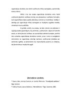 Referāts 'Organizēšana kā viena no funkcijām kultūras menedžmentā', 7.