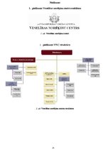Referāts 'Veselības norēķinu centrs', 10.