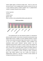 Referāts 'Mācīšanās motivācija', 13.