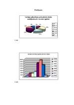 Referāts 'Latvijas pilsonības iegūšana naturalizācijas kārtībā', 17.