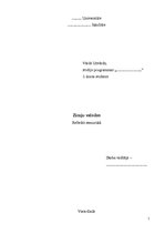 Referāts 'Жестовые языки', 1.