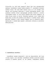 Referāts 'Izmeklēšanas tiesneša funkcijas', 19.