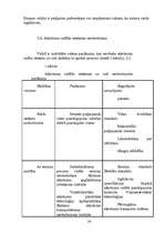 Referāts 'Atkritumu apsaimniekošana', 26.