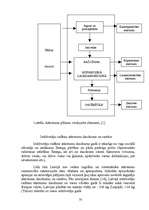 Referāts 'Atkritumu apsaimniekošana', 35.