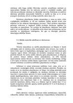 Referāts 'Atkritumu apsaimniekošana', 48.