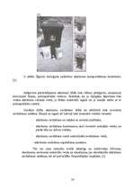 Referāts 'Atkritumu apsaimniekošana', 56.