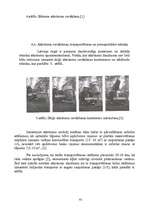 Referāts 'Atkritumu apsaimniekošana', 61.