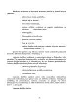 Referāts 'Atkritumu apsaimniekošana', 65.