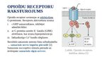 Prezentācija 'Opioīdu receptori', 3.