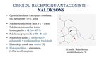 Prezentācija 'Opioīdu receptori', 13.
