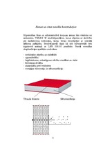 Referāts 'Arhitektūra', 6.