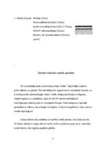 Referāts 'Arhitektūra', 9.