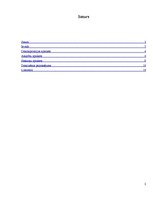 Paraugs 'Akcīzes preču uzskaites sistēma', 2.