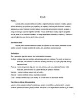 Paraugs 'Akcīzes preču uzskaites sistēma', 3.