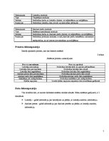 Paraugs 'Akcīzes preču uzskaites sistēma', 5.