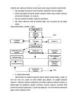 Konspekts 'Uzņēmuma peļņas veidošanu un sadali ietekmējošie faktori', 5.