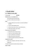 Prakses atskaite 'Pedagoģiskā prakse vizuālajā mākslā un audzinātājdarbā', 3.